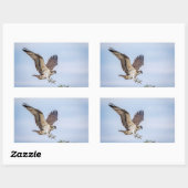 Osprey-landing in het nest rechthoekige sticker (Vel)