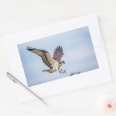 Osprey-landing in het nest rechthoekige sticker (Envelop)