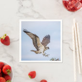 Osprey-landing in het nest servetten (Insitu)
