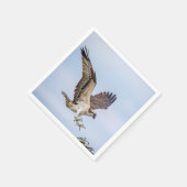Osprey-landing in het nest servetten (Hoek)