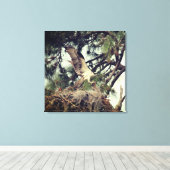 Osprey Landing Stretched Canvas Print (Insitu (Houten vloer))