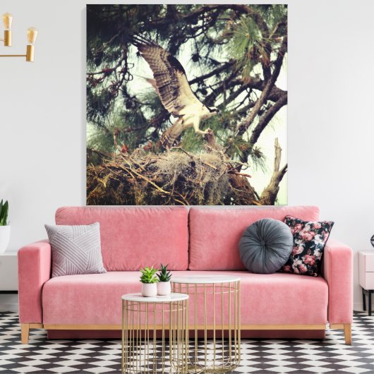 Osprey Landing Stretched Canvas Print (Insitu (Woonkamer))