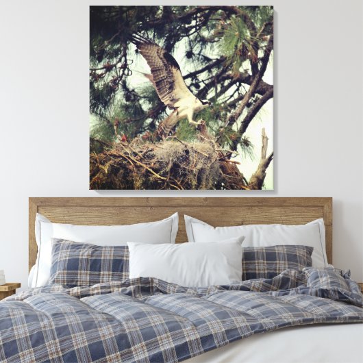 Osprey Landing Stretched Canvas Print (Insitu (Slaapkamer))