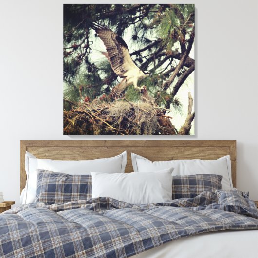 Osprey Landing Stretched Canvas Print (Insitu (Slaapkamer))