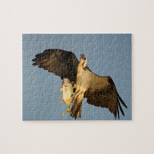 Osprey Legpuzzel (Horizontaal)