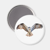 Osprey Magneet (Voorkant / Achterkant)