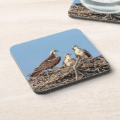 Osprey mama met haar kinderen bier onderzetter (Linkerzijde)