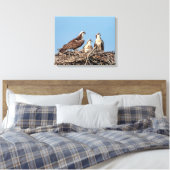 Osprey mama met haar kinderen canvas afdruk (Insitu (Slaapkamer))