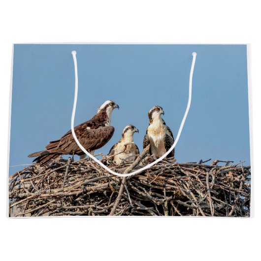 Osprey mama met haar kinderen groot cadeauzakje (Voorkant)