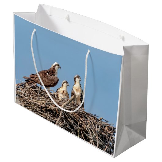 Osprey mama met haar kinderen groot cadeauzakje (Achterkant Gekanteld)