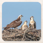 Osprey mama met haar kinderen kartonnen onderzetters (Voorkant)
