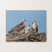 Osprey mama met haar kinderen legpuzzel (Horizontaal)