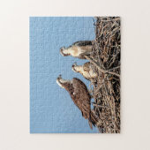 Osprey mama met haar kinderen legpuzzel (Verticaal)