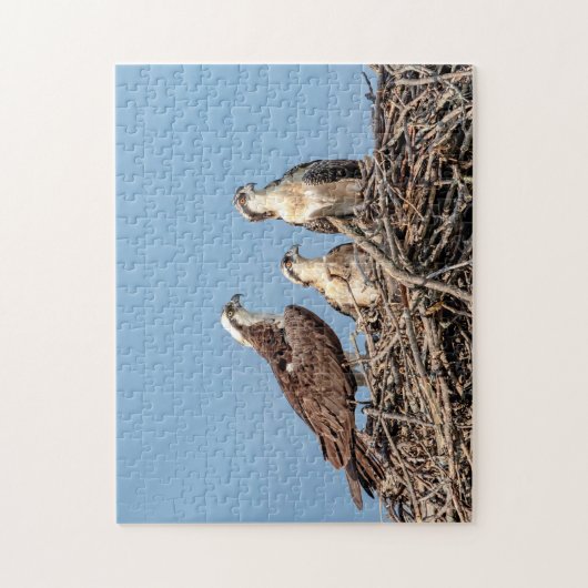 Osprey mama met haar kinderen legpuzzel (Verticaal)