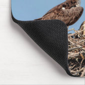 Osprey mama met haar kinderen muismat (Hoek)