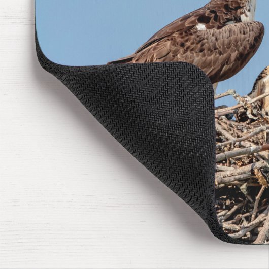 Osprey mama met haar kinderen muismat (Hoek)