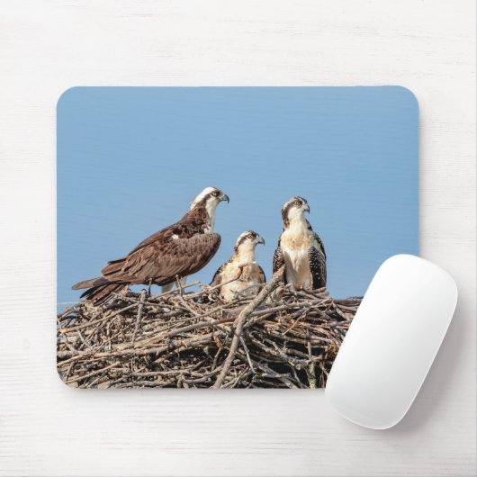 Osprey mama met haar kinderen muismat (Met muis)