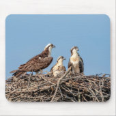 Osprey mama met haar kinderen muismat (Voorkant)