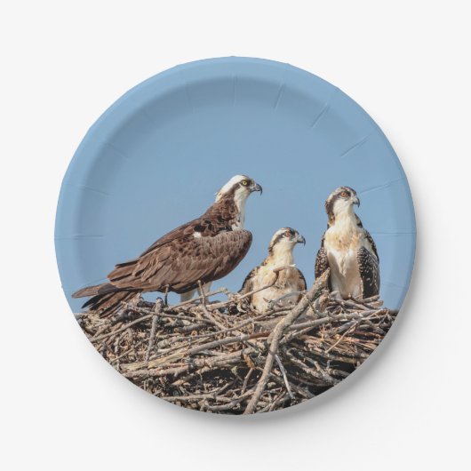 Osprey mama met haar kinderen papieren bordje (Voorkant)