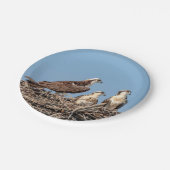 Osprey mama met haar kinderen papieren bordje (Gekanteld)