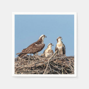 Osprey mama met haar kinderen servet
