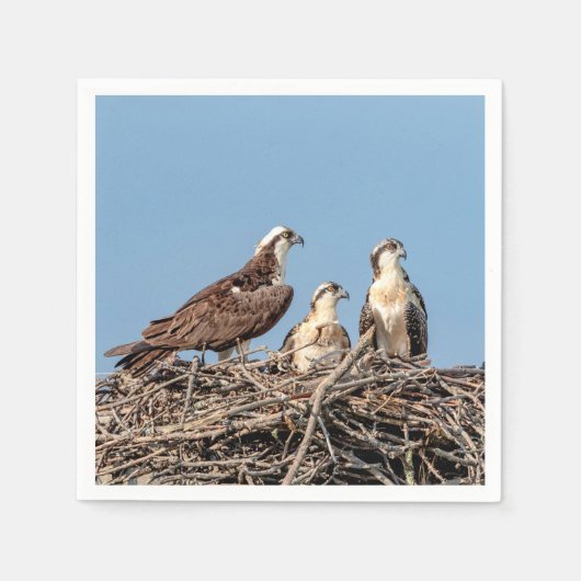 Osprey mama met haar kinderen servet (Voorkant)