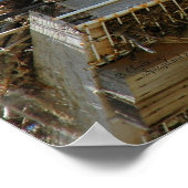 Osprey mammie en Baby Poster (Hoek)