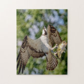 Osprey met grote mondbaars legpuzzel (Verticaal)