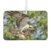 Osprey met grote mondbaars luchtverfrisser (Achterkant)