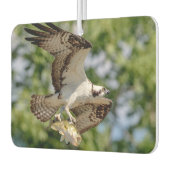 Osprey met grote mondbaars luchtverfrisser (Links)