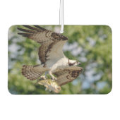 Osprey met grote mondbaars luchtverfrisser (Voorkant)