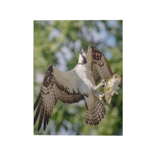Osprey met grote mondbaars notitieblok (Linkerzijde)