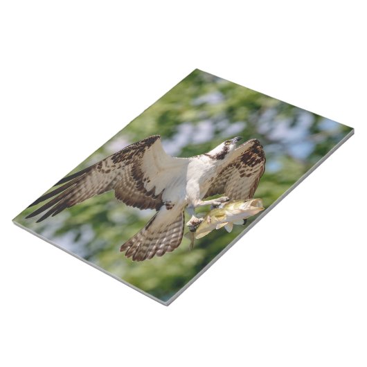 Osprey met grote mondbaars notitieblok (Schuin)