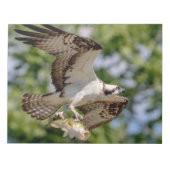 Osprey met grote mondbaars notitieblok (Voorkant)