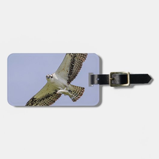 Osprey met vis bagagelabel (Voorkant horizontaal)