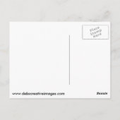 Osprey met vis briefkaart (Achterkant)