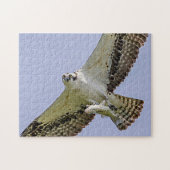 Osprey met vis legpuzzel (Horizontaal)
