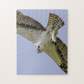 Osprey met vis legpuzzel (Verticaal)