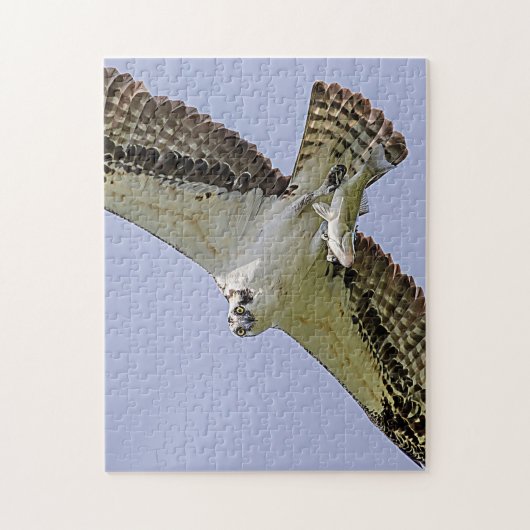 Osprey met vis legpuzzel (Verticaal)