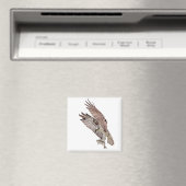 Osprey met vis magneet (Insitu (Vaatwasser))