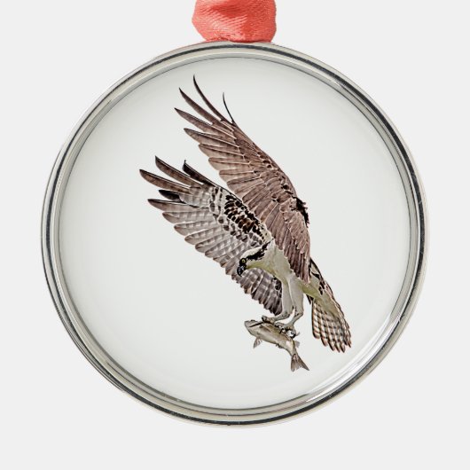 Osprey met vis metalen ornament (Voorkant)