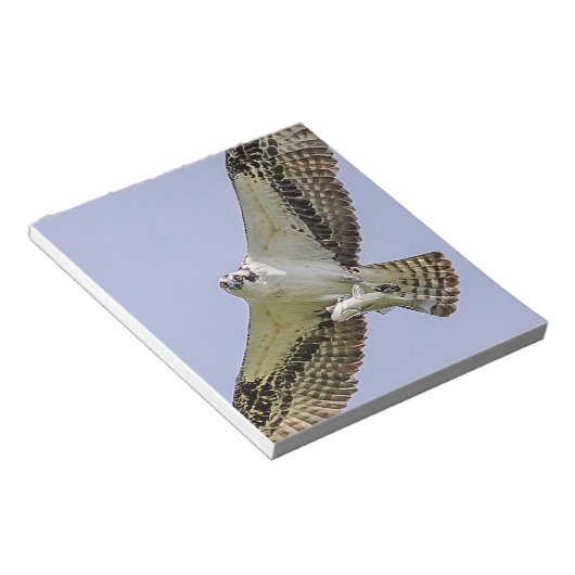 Osprey met vis notitieblok (Schuin)