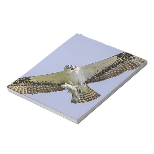 Osprey met vis notitieblok (Linkerzijde)