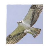 Osprey met vis notitieblok (Voorkant)