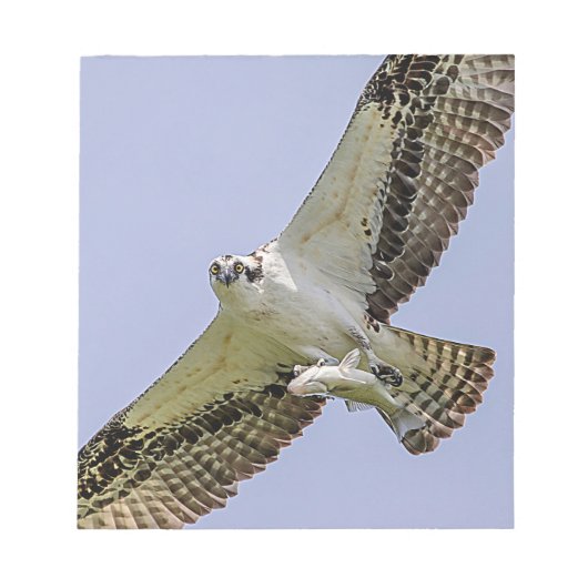 Osprey met vis notitieblok (Voorkant)