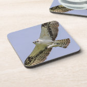 Osprey met vis onderzetter (Linkerzijde)