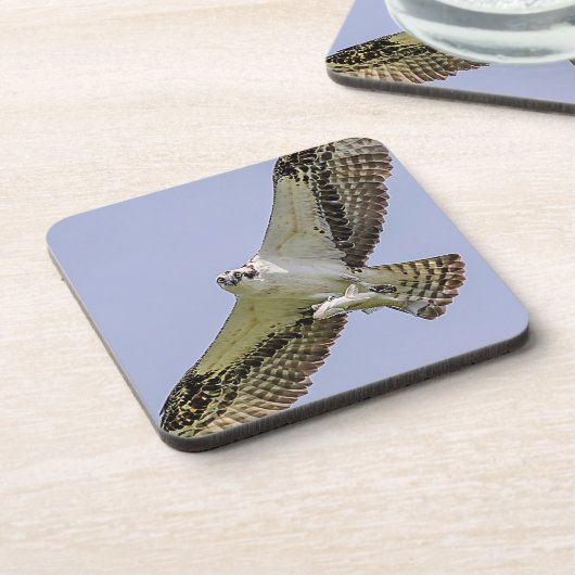 Osprey met vis onderzetter (Linkerzijde)