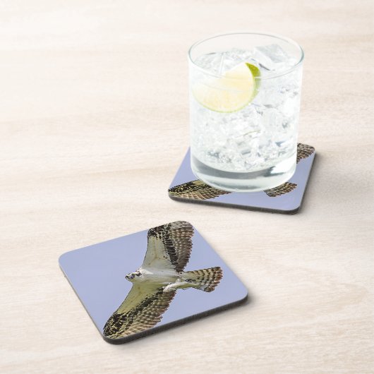 Osprey met vis onderzetter (Rechterzijde)