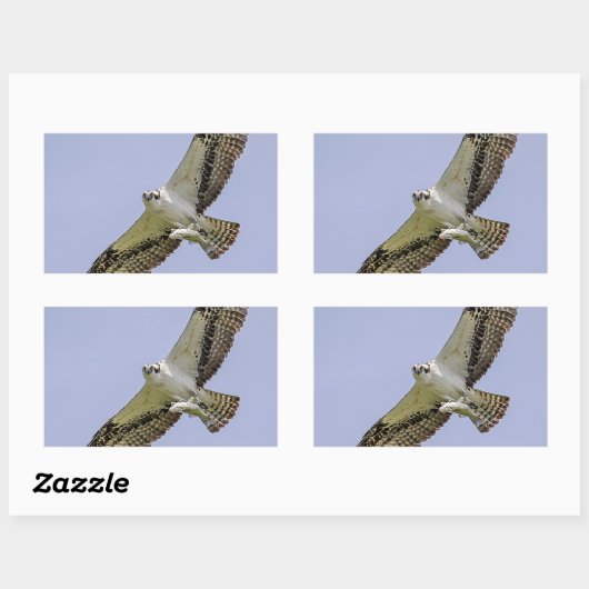 Osprey met vis rechthoekige sticker (Vel)