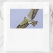 Osprey met vis rechthoekige sticker (Tas)